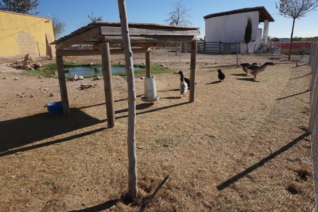 Finca La Caprichosa De Dancos Lillo Eksteriør billede
